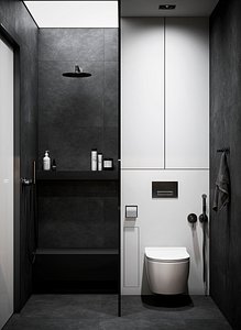 3D BlackWhite bathroom
