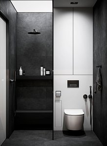 BlackWhite bathroom
