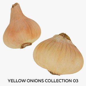 3D Yellow Onions Collection 03 - 2 models RAW Scans
