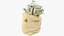 Colección de bolsas de dinero V25