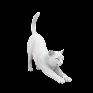 3D Playful Cat Stretch