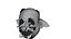 Antirrhinum majus 3D CT scan model decimate 50 percent