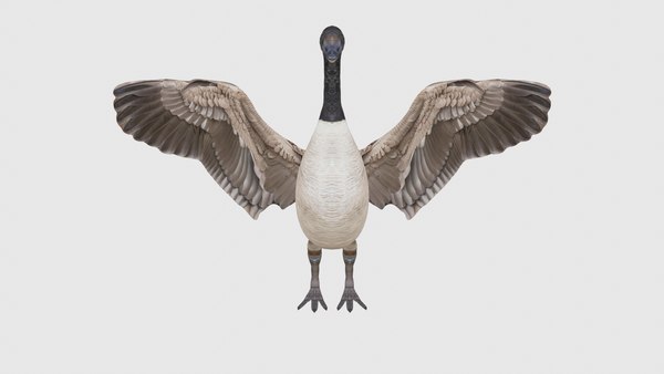 3D model Low Poly Goose Rigged With Realistic Texture - TurboSquid 1875964