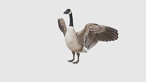 Low Poly Goose Rigged With Realistic Texture