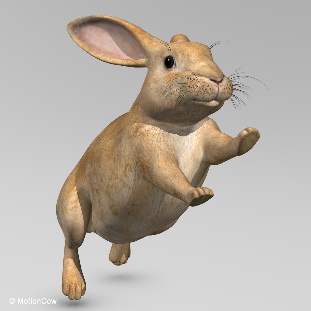 Max Realistic Brown Rabbit
