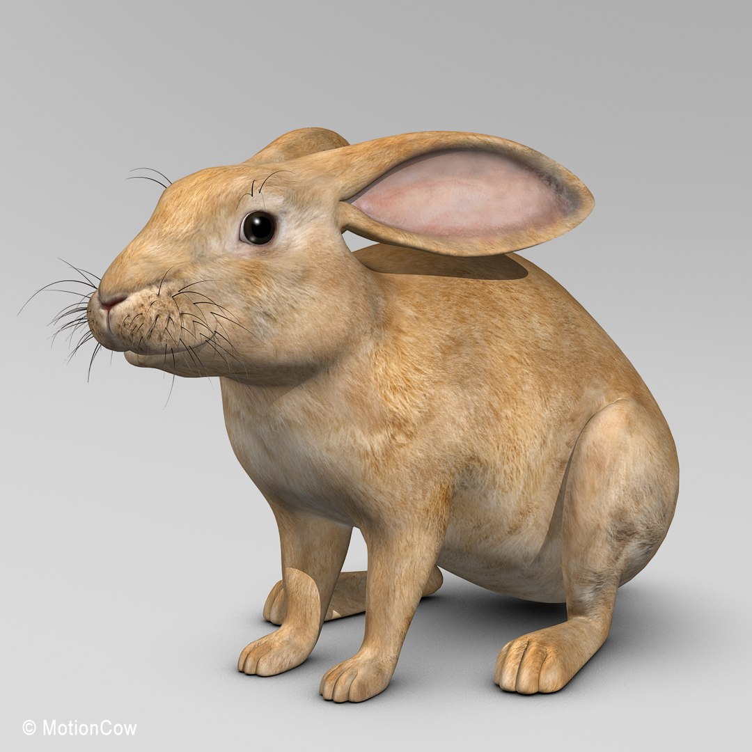 Max Realistic Brown Rabbit
