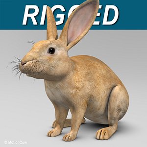 max realistic brown rabbit