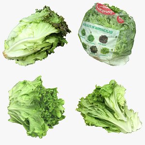 3D model Salad Collection 06