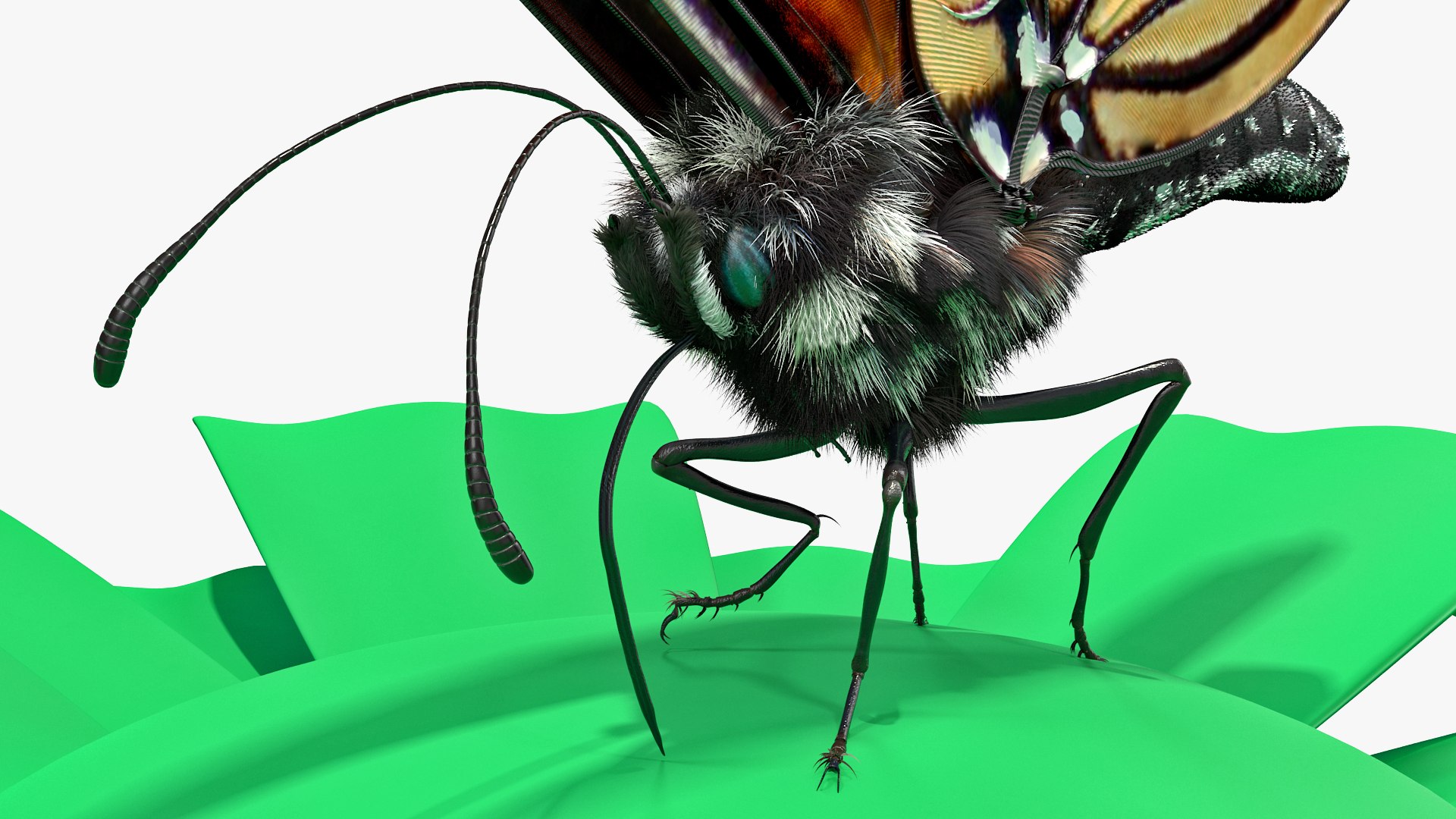 3D model monarch butterfly collects nectar https://p.turbosquid.com/ts-thumb/K2/667TVC/0prZj4JH/animatedmonarchbutterflycollectsnectarfurriggedvray3dmodel009/jpg/1573178765/1920x1080/fit_q87/0870838efeacb7ff4f0b8b94c733a62c7bbac16f/animatedmonarchbutterflycollectsnectarfurriggedvray3dmodel009.jpg
