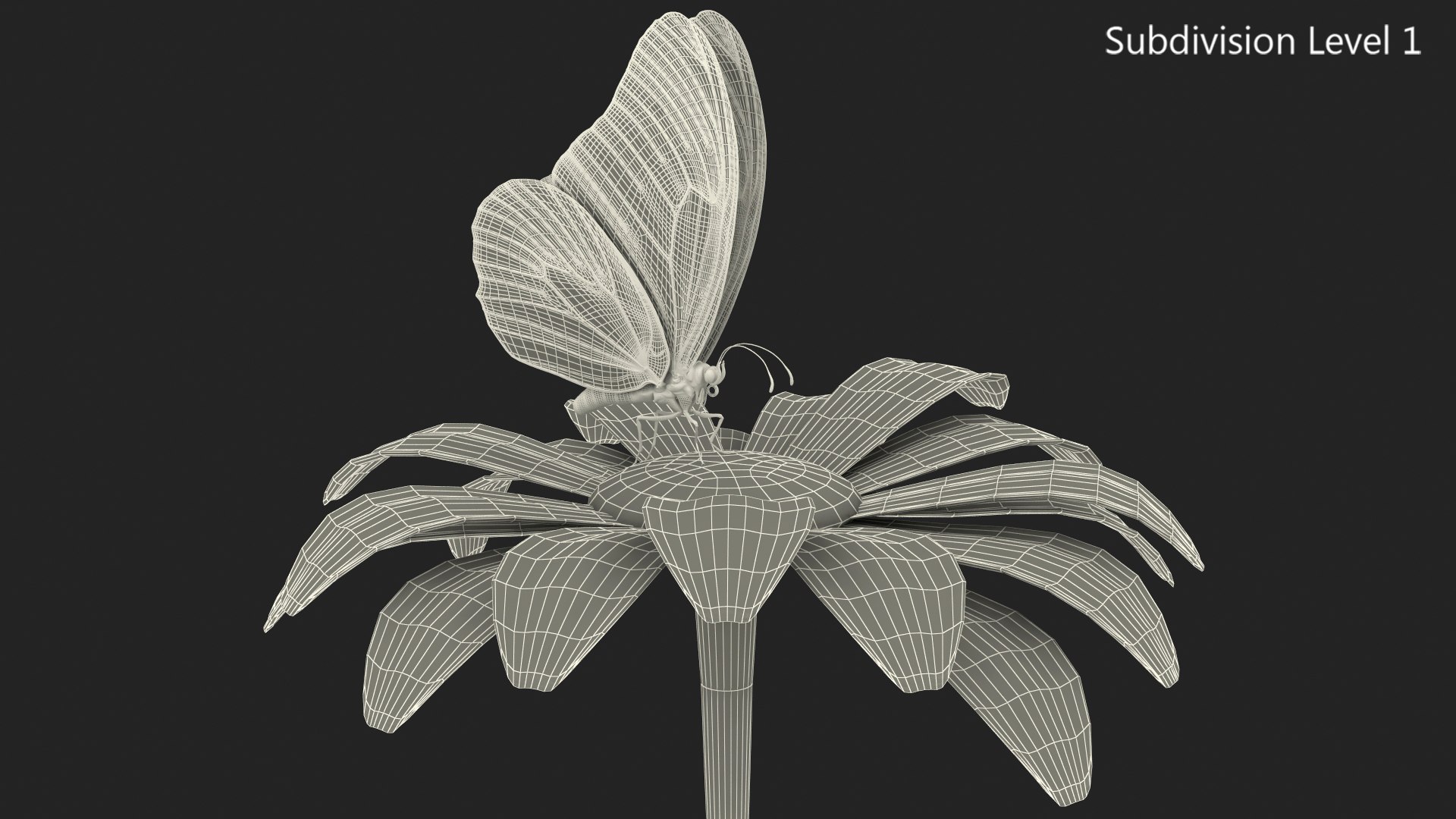 3D model monarch butterfly collects nectar https://p.turbosquid.com/ts-thumb/K2/667TVC/5cLPATWW/animatedmonarchbutterflycollectsnectarfurriggedvray3dmodel015/jpg/1573178794/1920x1080/fit_q87/d3c60d62c1b8391214ae4a8152f7b77dbca020a1/animatedmonarchbutterflycollectsnectarfurriggedvray3dmodel015.jpg
