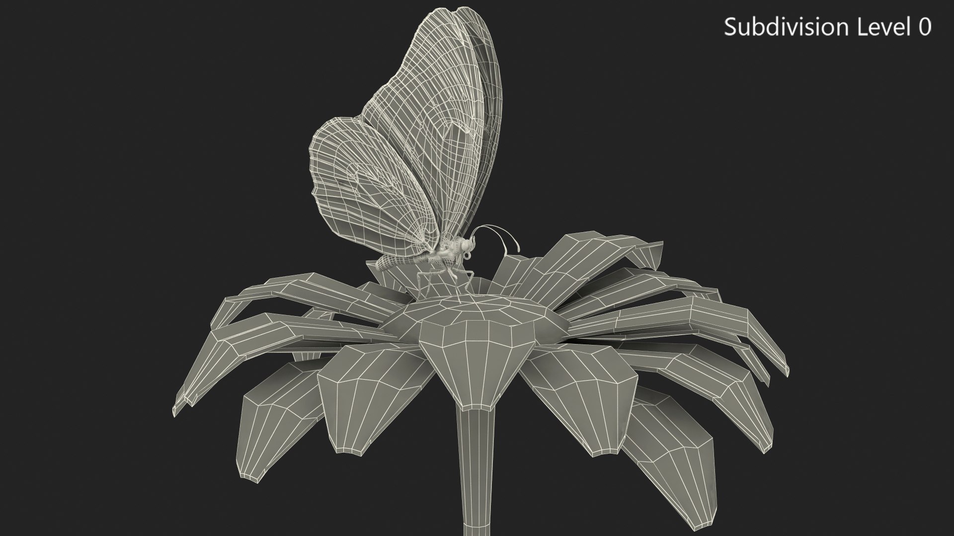 3D model monarch butterfly collects nectar https://p.turbosquid.com/ts-thumb/K2/667TVC/ZPgVvPsT/animatedmonarchbutterflycollectsnectarfurriggedvray3dmodel014/jpg/1573178789/1920x1080/fit_q87/6e2fc9122048b7b8f864914d591310ae5a6a54b8/animatedmonarchbutterflycollectsnectarfurriggedvray3dmodel014.jpg