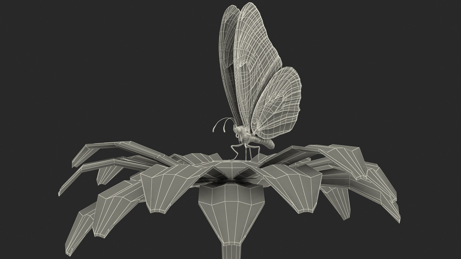 3D model monarch butterfly collects nectar https://p.turbosquid.com/ts-thumb/K2/667TVC/nrMLnsRJ/animatedmonarchbutterflycollectsnectarfurriggedvray3dmodel020/jpg/1573178818/1920x1080/fit_q87/6d5a28e30fe6b80d7a63684d0303dd69aa221112/animatedmonarchbutterflycollectsnectarfurriggedvray3dmodel020.jpg