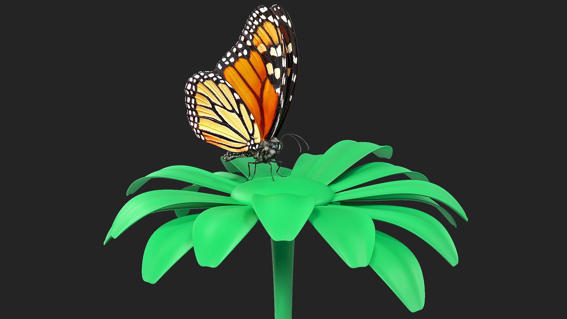 Animated Monarch Butterfly Collects Nectar Fur Rigged 3D model preview
