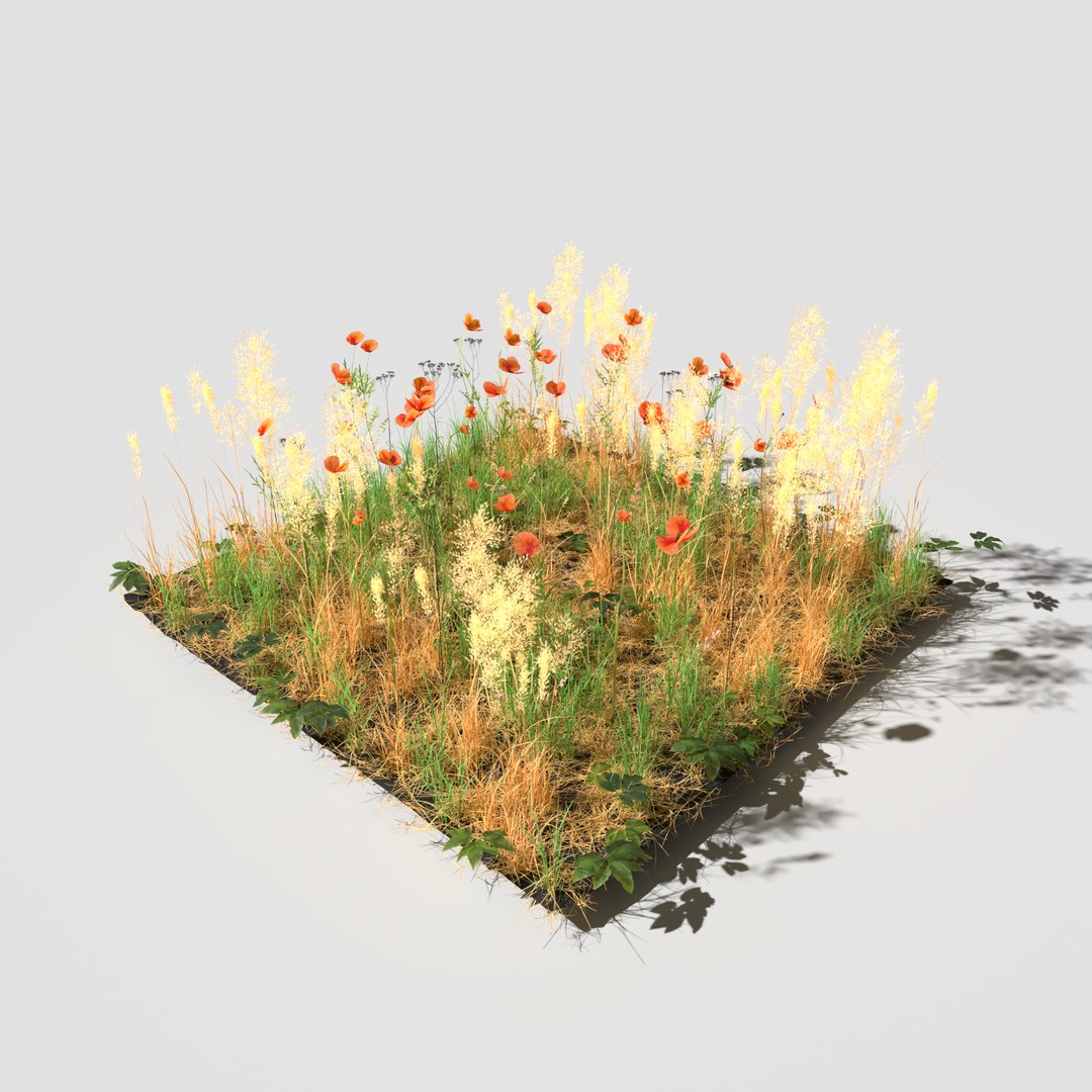 pbr meadow patch poppy 3D model https://p.turbosquid.com/ts-thumb/K2/Cow0BK/ArQmKJ2A/meadowpatch_poppy_preiview/png/1604860645/1920x1080/fit_q87/4cd19d28440b8ad0cee76b7ec9bcc4ca15942046/meadowpatch_poppy_preiview.jpg