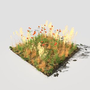 pbr meadow patch poppy 3D model