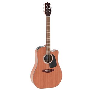 3D Acoustic guitar Takamine model