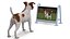 3D Dog Watching Dogsplay TV
