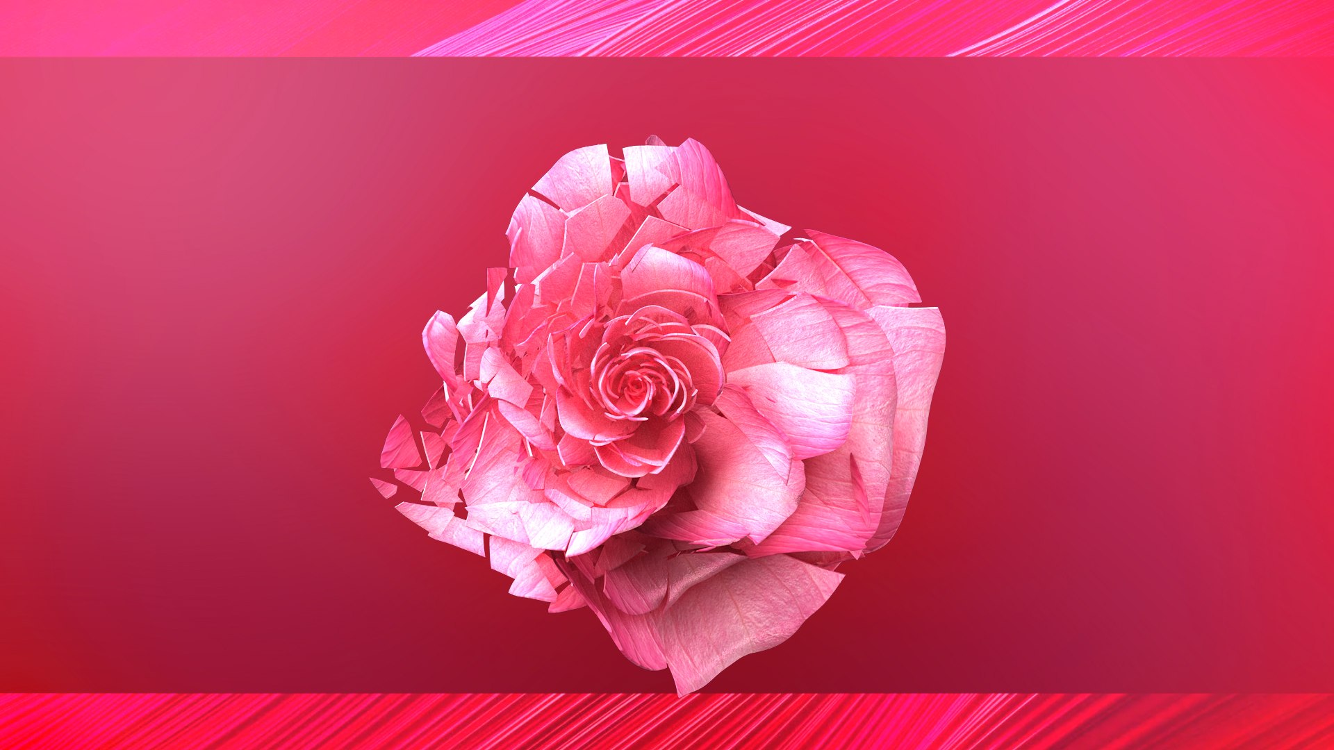 3D Rose Blast Animated https://p.turbosquid.com/ts-thumb/K2/eQT5UN/1z/06/jpg/1637226146/1920x1080/fit_q87/b038fec7d70d008e598719b64f76c541f0d506bc/06.jpg
