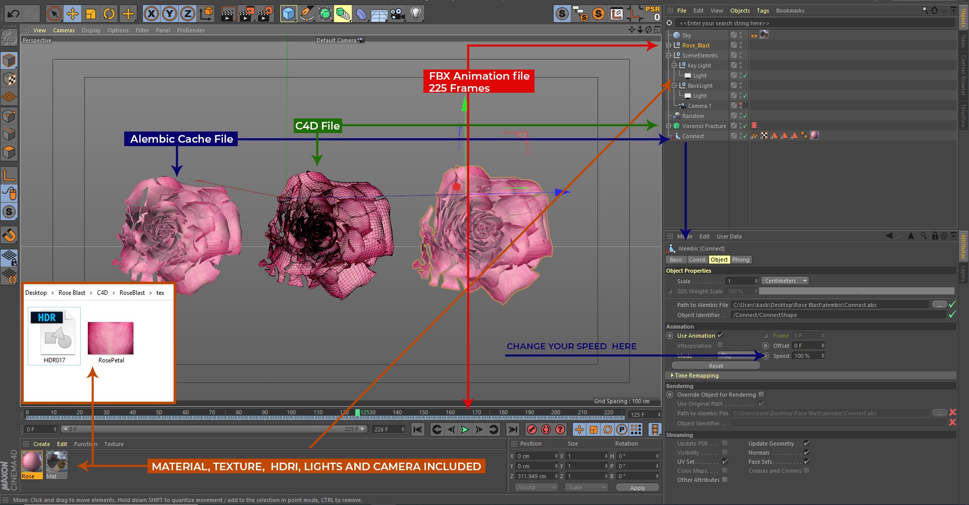 3D Rose Blast Animated https://p.turbosquid.com/ts-thumb/K2/eQT5UN/MC/detail_001/jpg/1637226146/1920x1080/fit_q87/a1933cc1110773d033bec7728e8e61f0779e9276/detail_001.jpg