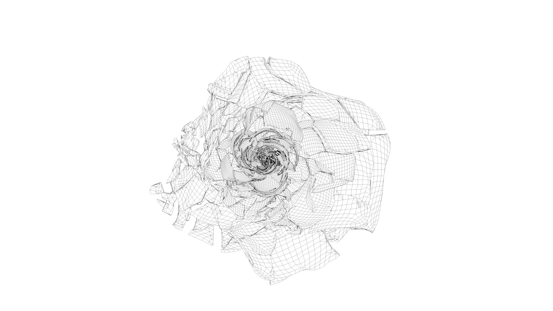 3D Rose Blast Animated https://p.turbosquid.com/ts-thumb/K2/eQT5UN/TE/wireframe/jpg/1637226145/1920x1080/fit_q87/1d0d709628b11d19257da06edef34784f0f556e4/wireframe.jpg