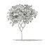 CGAxis Models Volume 76 Trees X MAYA