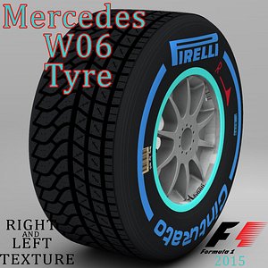 W06 Wet front tyre