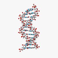DNA