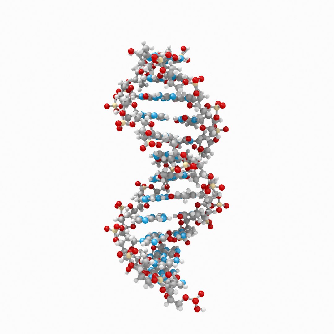 3d dna double https://p.turbosquid.com/ts-thumb/K3/3B9kCx/FbfHmZ0j/dna_fromdataset_thin_v001_rgb0038/jpg/1313332018/1920x1080/fit_q87/e10f755c9cf0fa1bbdb30d79b029e1f5aab0cf46/dna_fromdataset_thin_v001_rgb0038.jpg