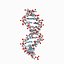 DNA