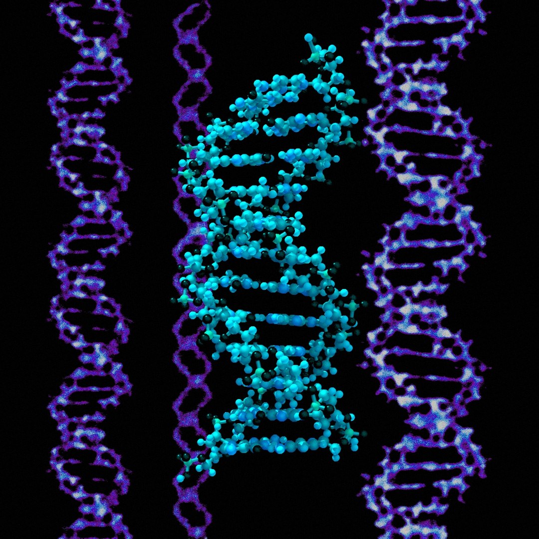 3d dna double https://p.turbosquid.com/ts-thumb/K3/3B9kCx/UxfONCPk/dna_fromdataset_thinaltbackground_v004/jpg/1313331776/1920x1080/fit_q87/6b65b06b2b93d7634aa6afe669b7485fcf570211/dna_fromdataset_thinaltbackground_v004.jpg