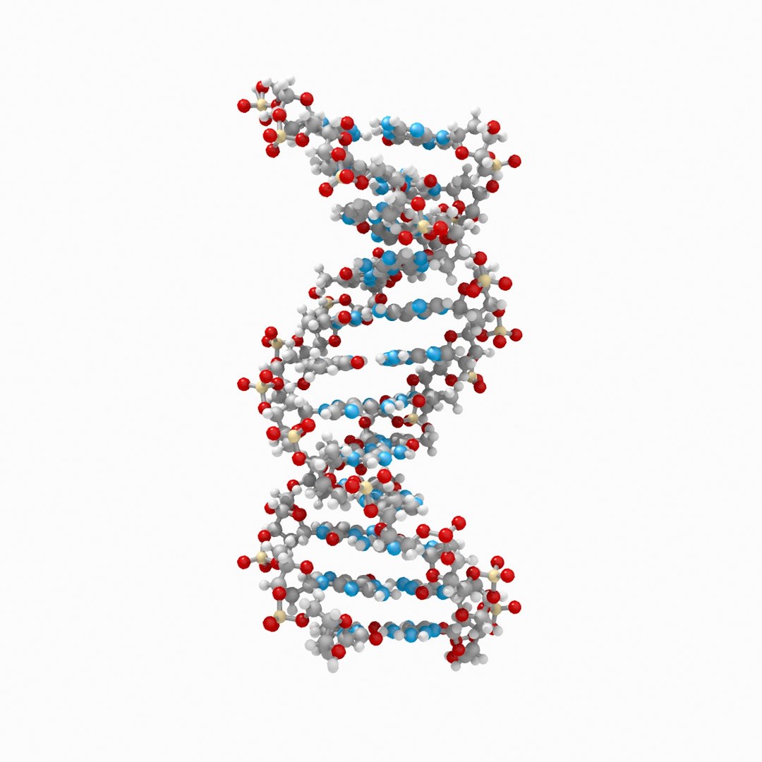 3d dna double https://p.turbosquid.com/ts-thumb/K3/3B9kCx/cRpm9NY4/dna_fromdataset_thin_v001_rgb0020/jpg/1313331956/1920x1080/fit_q87/6a0d0152e1b85a14d8dc107ebf8bf5f185ec99f1/dna_fromdataset_thin_v001_rgb0020.jpg