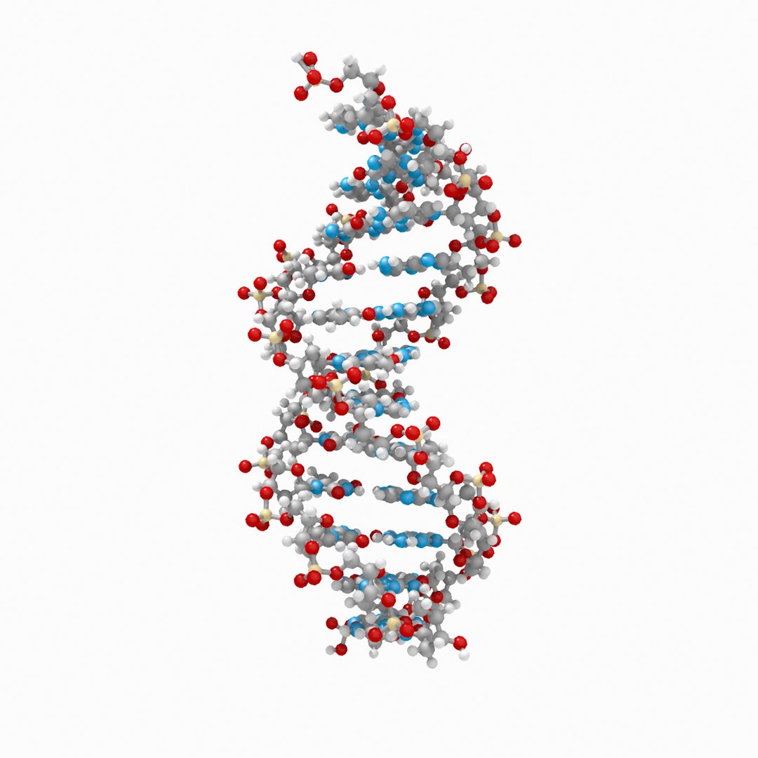 3d dna double https://p.turbosquid.com/ts-thumb/K3/3B9kCx/z9nrySE2/dna_fromdataset_thin_v001_rgb0010/jpg/1313331903/1920x1080/fit_q87/71e69b7305806059a2feb69d865e5fa87ea47743/dna_fromdataset_thin_v001_rgb0010.jpg