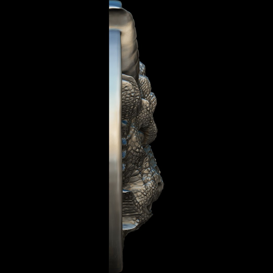 Dragon Head Relief No8 3D print model 3D https://p.turbosquid.com/ts-thumb/K3/7ocLZx/mN/dragonheadreliefno85/jpg/1734129564/1920x1080/fit_q87/49351a31ad35024e39b3048101c6931e099a7d24/dragonheadreliefno85.jpg