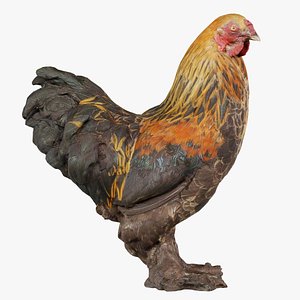 3D Rooster Gallus Domesticus Remastered model