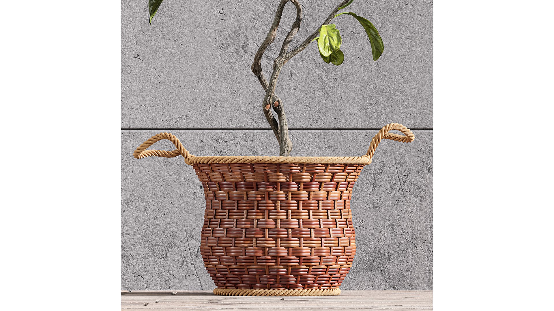 3D Plant Indoor Fiddle Leaf Fig02 https://p.turbosquid.com/ts-thumb/K3/FJSoAa/lQ/z03/png/1720961495/1920x1080/fit_q87/0803677a22fc55843f4064ceb5035ea0a995431c/z03.jpg