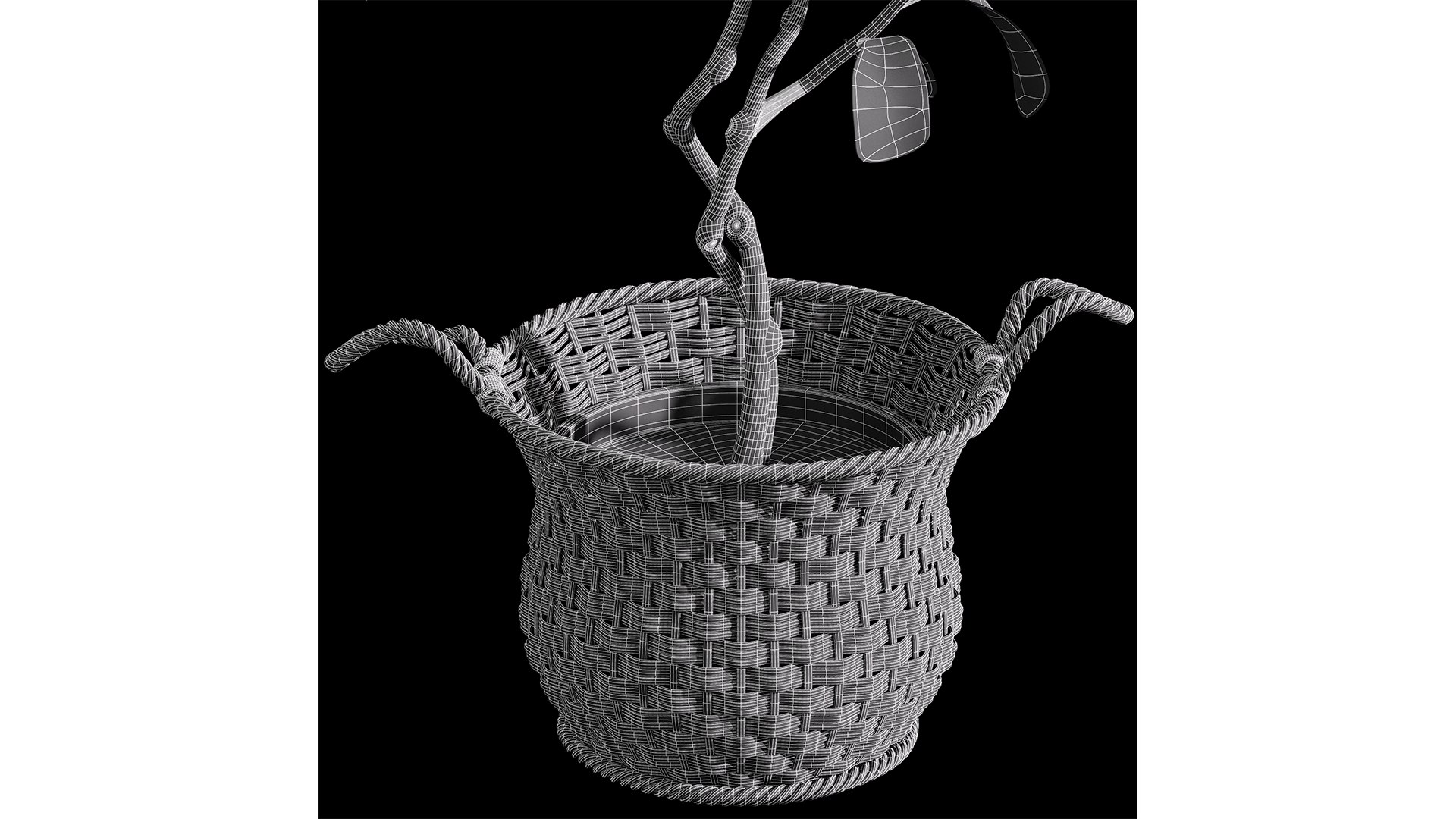 3D Plant Indoor Fiddle Leaf Fig02 https://p.turbosquid.com/ts-thumb/K3/FJSoAa/wK/z07/png/1720961501/1920x1080/fit_q87/2bf4527dbccf3fa3ad710e813a8ad13cbc8da130/z07.jpg