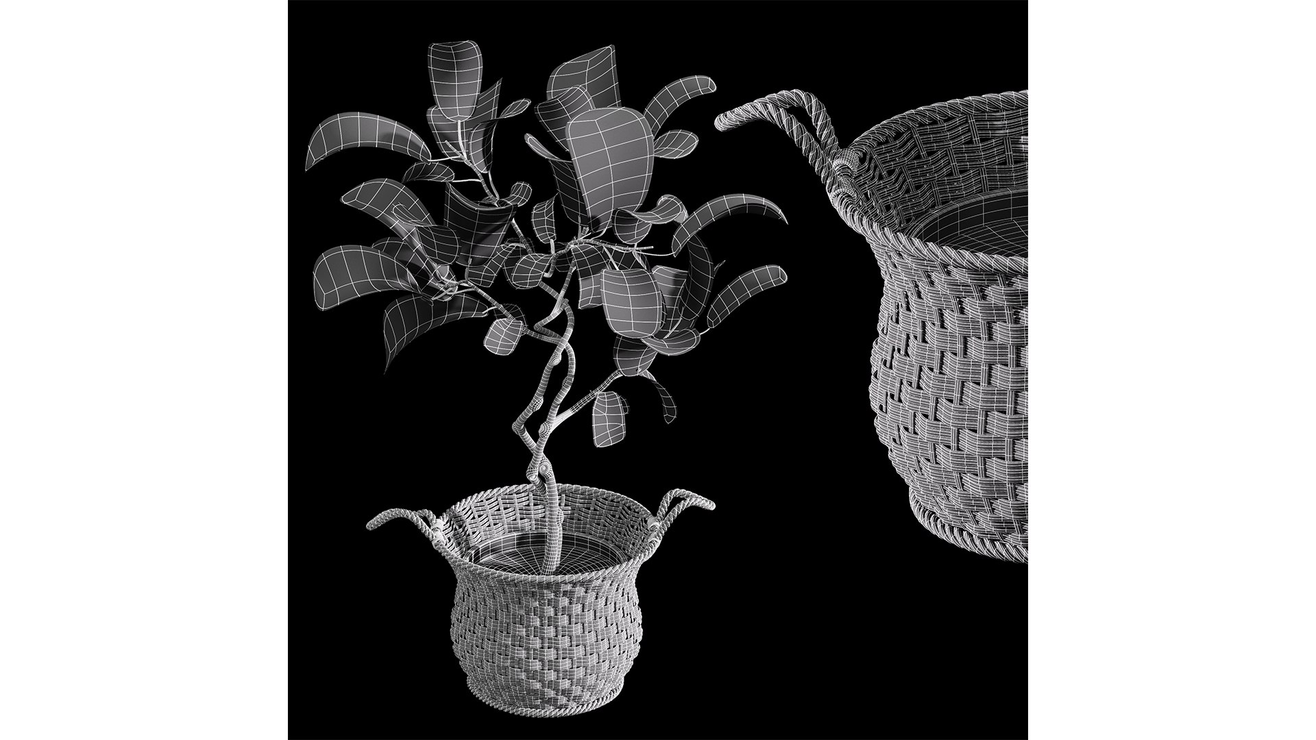 3D Plant Indoor Fiddle Leaf Fig02 https://p.turbosquid.com/ts-thumb/K3/FJSoAa/zS/z06/png/1720961499/1920x1080/fit_q87/58aa5105e8bbbb922d49506cfedfb3d55b4e0b7d/z06.jpg