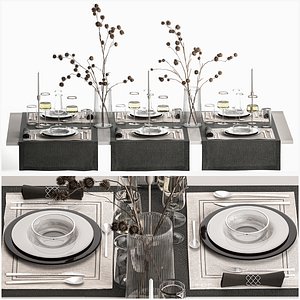 Solemn Table Setting In Eco Style Dried Flowers model