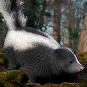 Animal Skunk Fur Rigged for Blender 3D model