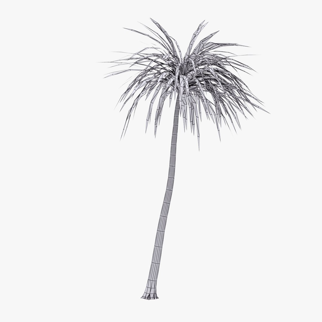 palm 012 3ds https://p.turbosquid.com/ts-thumb/K3/XItm6x/592UsO7i/01_wirecopy/jpg/1411038388/1920x1080/fit_q87/ee69b977ed5828cbc9e16d1fec024e26fee20eea/01_wirecopy.jpg