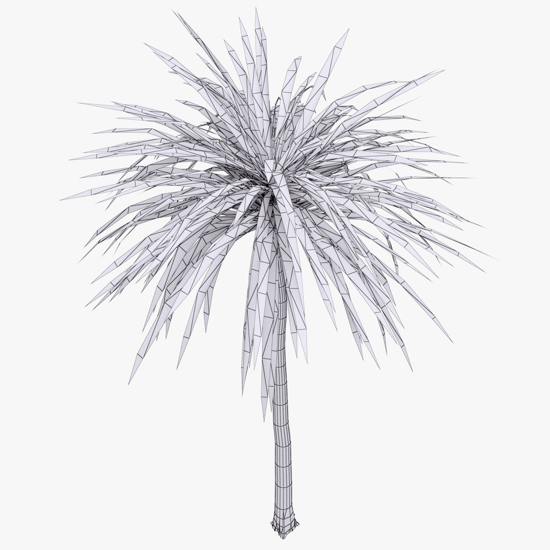 palm 012 3ds https://p.turbosquid.com/ts-thumb/K3/XItm6x/AnGNkf3y/05_wirecopy/jpg/1411038388/1920x1080/fit_q87/a0b572bd8ac72cd54be147f173960e09a2c46162/05_wirecopy.jpg
