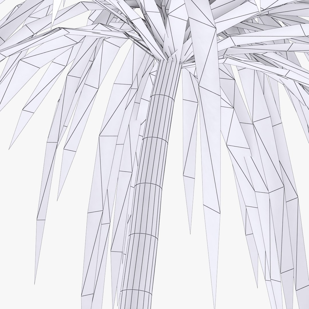 palm 012 3ds https://p.turbosquid.com/ts-thumb/K3/XItm6x/eKg7CjQf/04_wirecopy/jpg/1411038388/1920x1080/fit_q87/1dc3b4bff32caa11d561a9ad59595effcaa98789/04_wirecopy.jpg