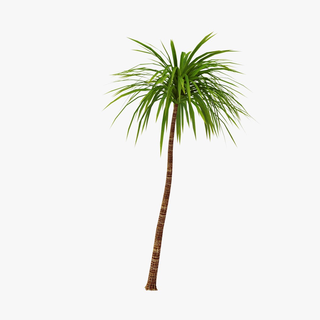 palm 012 3ds https://p.turbosquid.com/ts-thumb/K3/XItm6x/vFfz1Rz4/03copy/jpg/1411038388/1920x1080/fit_q87/091babc923eee586e313ae1d94339e6a31165ba6/03copy.jpg