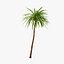 Palm 012