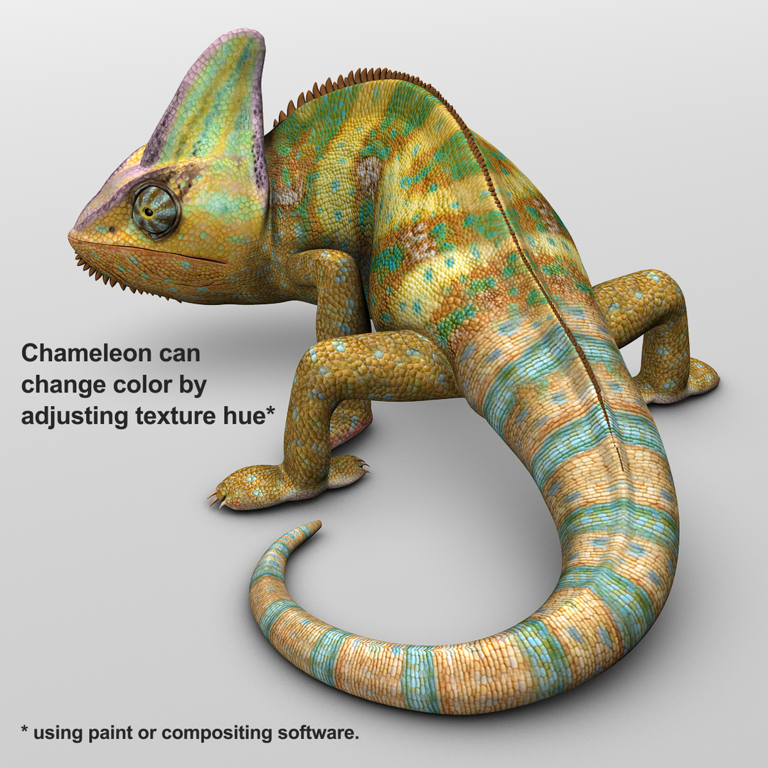 Chameleon Color 3d Max