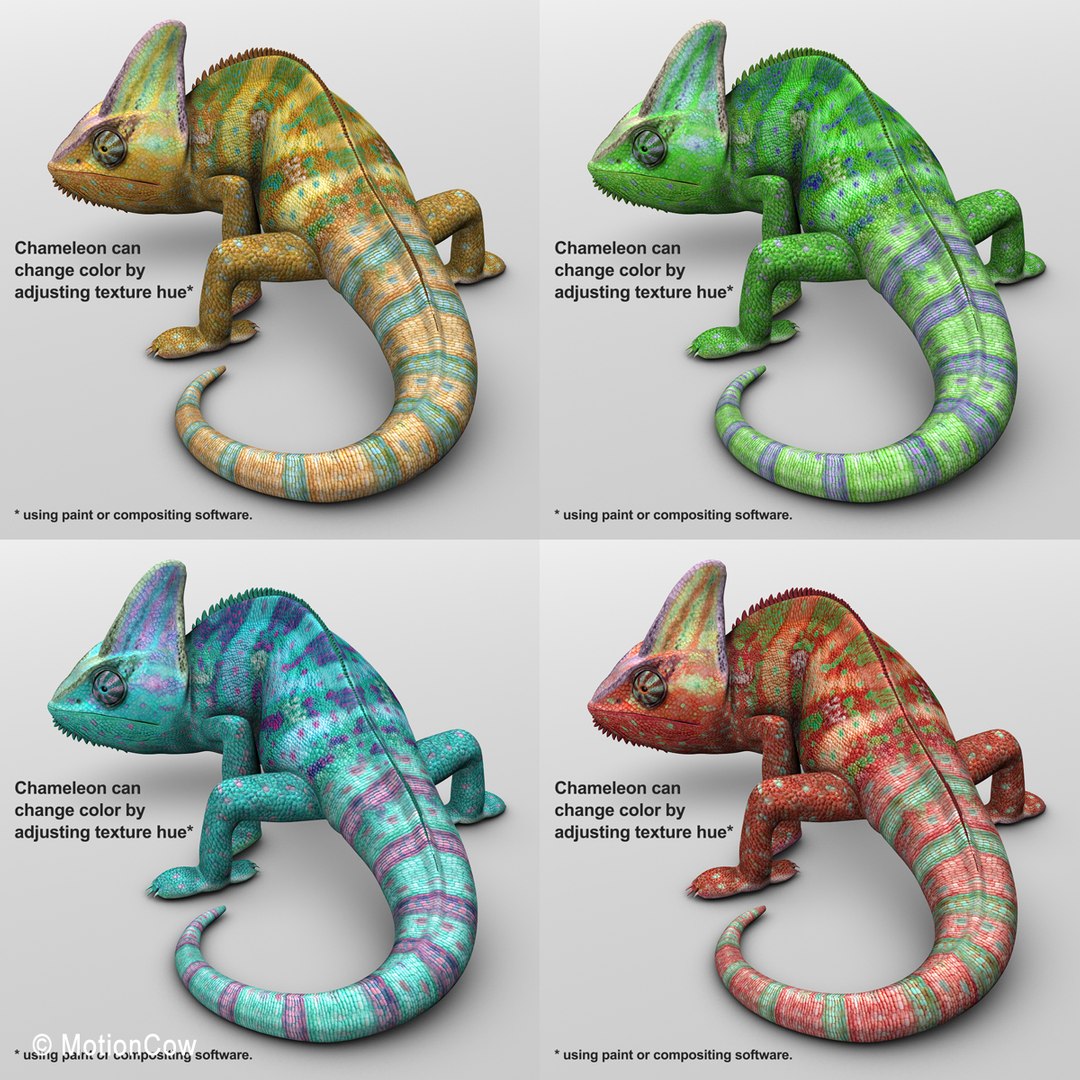 Chameleon Color 3d Max
