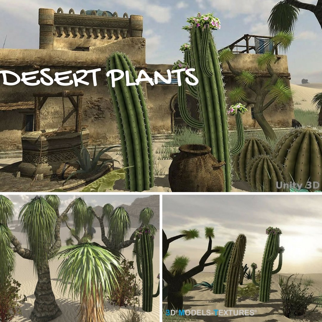 3D Desert Plants Model - TurboSquid 1208147