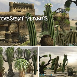 Desert Plants