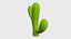 Ensemble de cactus stylisés