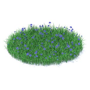 Grass with Cornflowers 3D Model